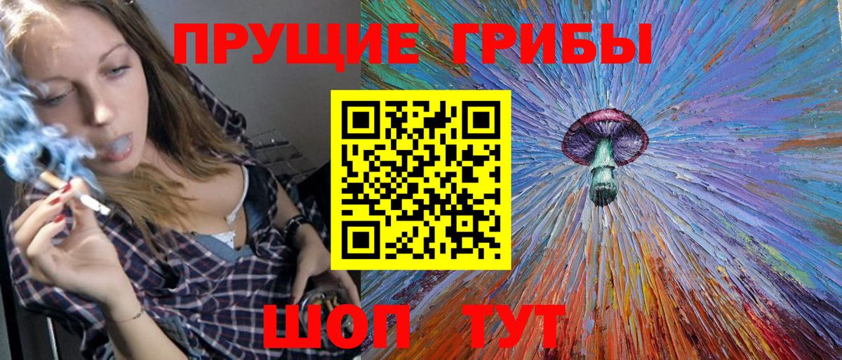 Галлюциногенные грибы Psilocybine cubensis  Вход с VPN  Элиста  Галлюциногенные грибы Psilocybine cubensis 